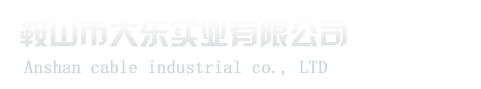 大连龙采U技有限公司